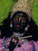 Krishna-Balaram-mandir_231