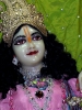 Krishna-Balaram-mandir_232