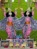 Krishna-Balaram-mandir_234