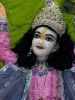 Krishna-Balaram-mandir_235