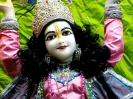 Krishna-Balaram-mandir_238