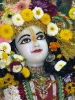 Krishna-Balaram-mandir_23