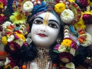 Krishna-Balaram-mandir_241
