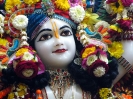 Krishna-Balaram-mandir_242