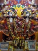 Krishna-Balaram-mandir_243