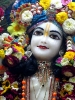Krishna-Balaram-mandir_245
