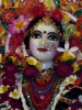 Krishna-Balaram-mandir_248