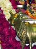Krishna-Balaram-mandir_251