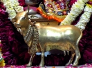 Krishna-Balaram-mandir_255