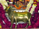 Krishna-Balaram-mandir_256