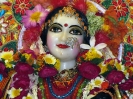 Krishna-Balaram-mandir_257