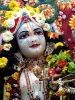 Krishna-Balaram-mandir_263