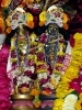 Krishna-Balaram-mandir_264