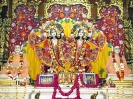 Krishna-Balaram-mandir_269
