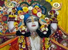 Krishna-Balaram-mandir_271