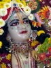 Krishna-Balaram-mandir_274