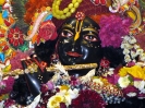 Krishna-Balaram-mandir_275