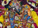 Krishna-Balaram-mandir_276