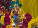 Krishna-Balaram-mandir_277