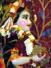 Krishna-Balaram-mandir_278