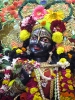 Krishna-Balaram-mandir_2