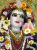 Krishna-Balaram-mandir_30