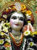 Krishna-Balaram-mandir_32