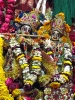 Krishna-Balaram-mandir_33