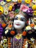 Krishna-Balaram-mandir_36