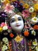 Krishna-Balaram-mandir_37