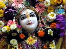 Krishna-Balaram-mandir_38