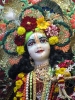 Krishna-Balaram-mandir_3
