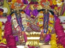 Krishna-Balaram-mandir_40
