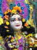 Krishna-Balaram-mandir_44
