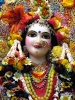Krishna-Balaram-mandir_45