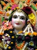 Krishna-Balaram-mandir_48