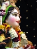 Krishna-Balaram-mandir_54
