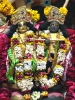 Krishna-Balaram-mandir_57