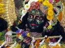 Krishna-Balaram-mandir_60