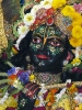 Krishna-Balaram-mandir_61
