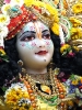 Krishna-Balaram-mandir_62