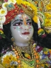Krishna-Balaram-mandir_63