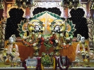 Krishna-Balaram-mandir_66