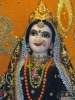 Krishna-Balaram-mandir_74