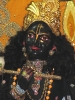 Krishna-Balaram-mandir_79