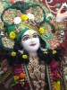 Krishna-Balaram-mandir_7