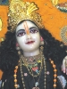 Krishna-Balaram-mandir_80