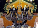 Krishna-Balaram-mandir_81