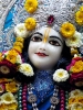 Krishna-Balaram-mandir_86