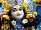 Krishna-Balaram-mandir_89
